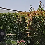 Casa Il Pozzo Appartement San Gimignano