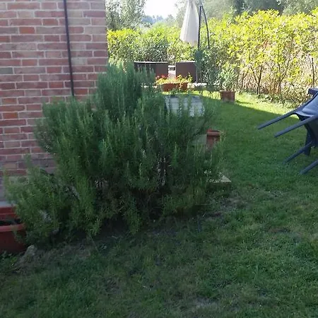 شقة Casa Il Pozzo سان جيمينيانو